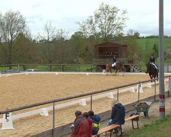 Reitturnier Altentrüdingen 2025