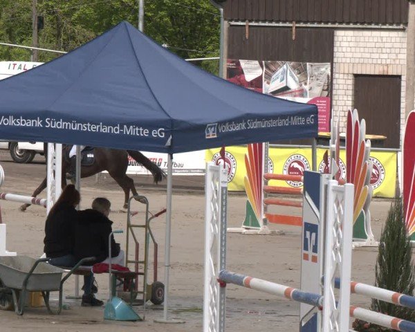 Reitturnier Olfen 2025