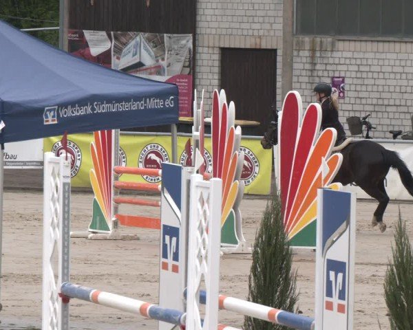Reitturnier Olfen 2025