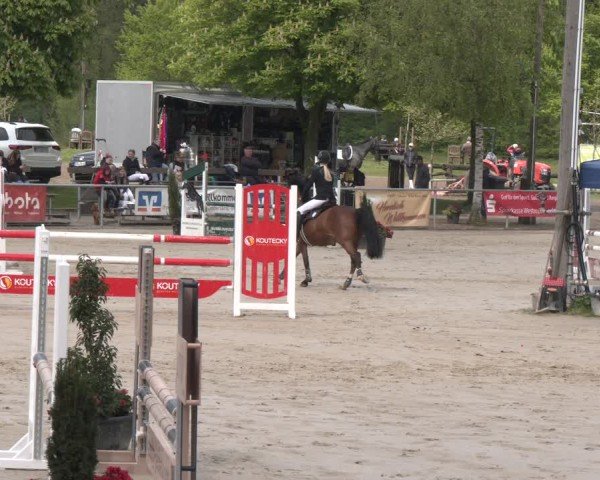Reitturnier Olfen 2025