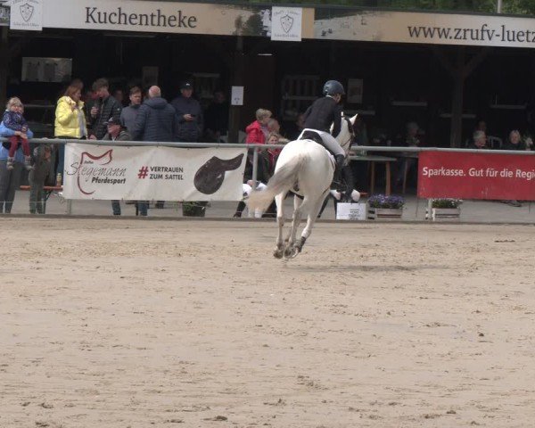 Reitturnier Olfen 2025