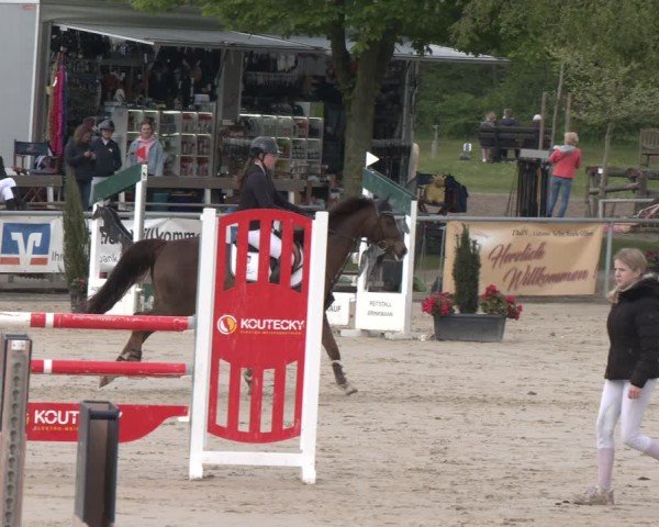 Reitturnier Olfen 2025