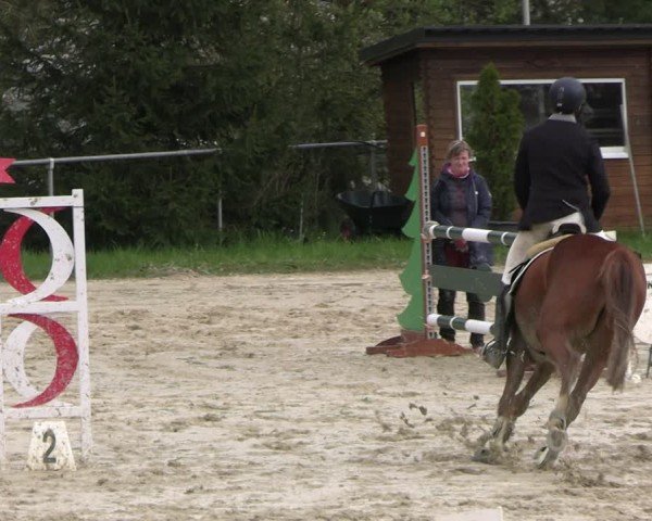 Reitturnier Bad Liebenstein 2025