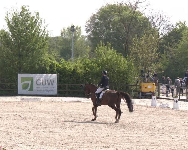 Reitturnier Nienberge 2025