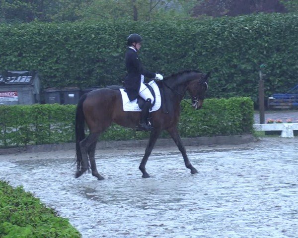 Reitturnier Olfen 2025