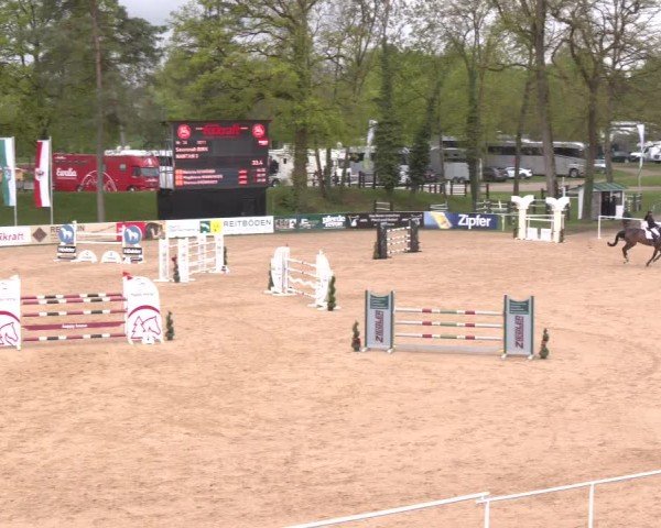 Internationales Springturnier Stadl-Paura 2025