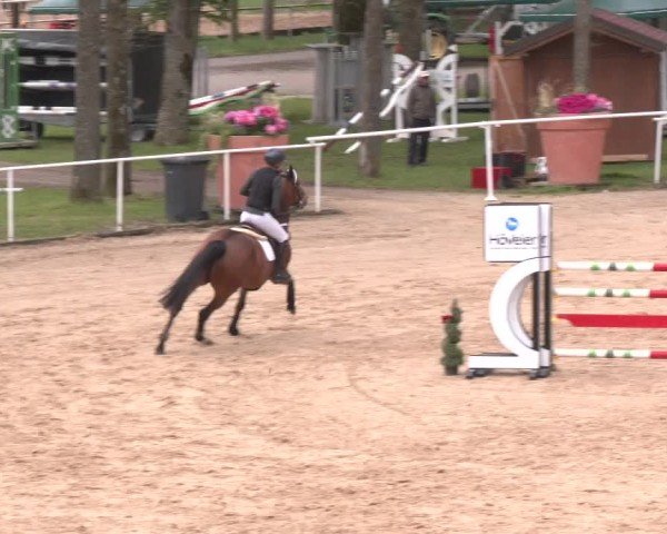 Internationales Springturnier Stadl-Paura 2025