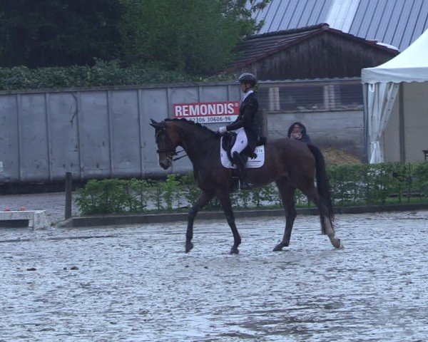 Reitturnier Olfen 2025