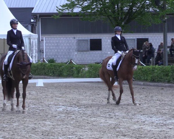 Reitturnier Olfen 2025