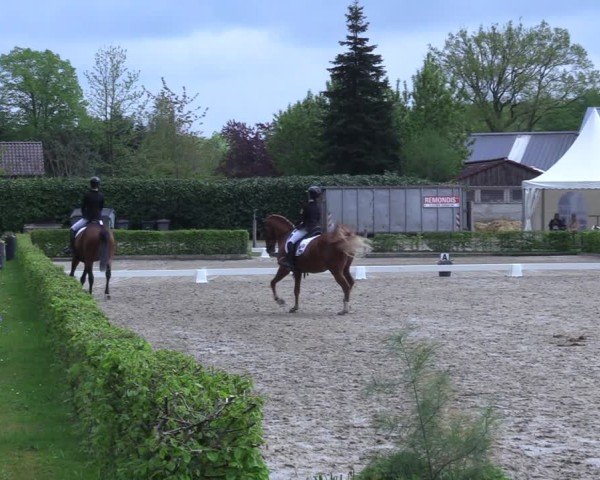Reitturnier Olfen 2025