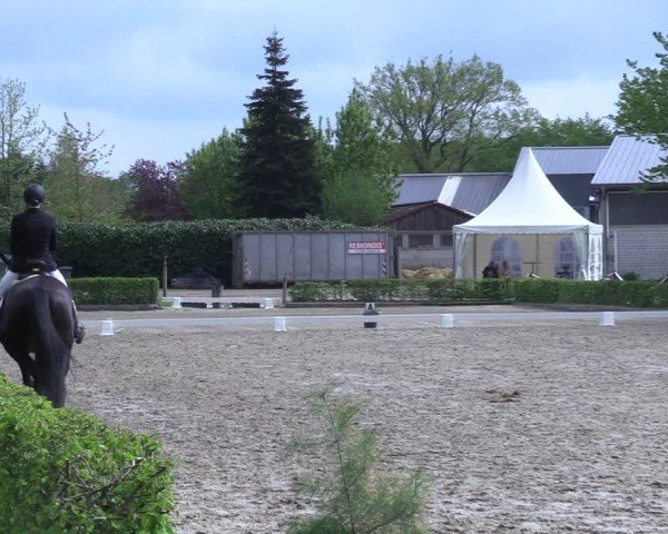 Reitturnier Olfen 2025