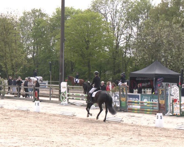 Reitturnier Nienberge 2025