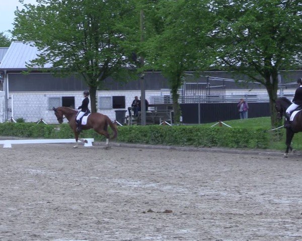 Reitturnier Olfen 2025