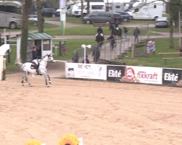 Internationales Springturnier Stadl-Paura 2025
