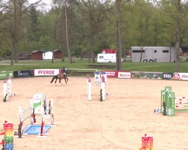 Internationales Springturnier Stadl-Paura 2025