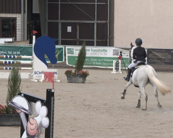 Reitturnier Olfen 2025