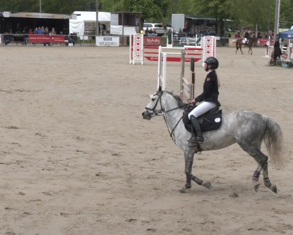 Reitturnier Olfen 2025