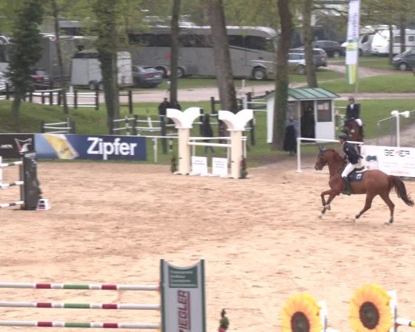 Internationales Springturnier Stadl-Paura 2025