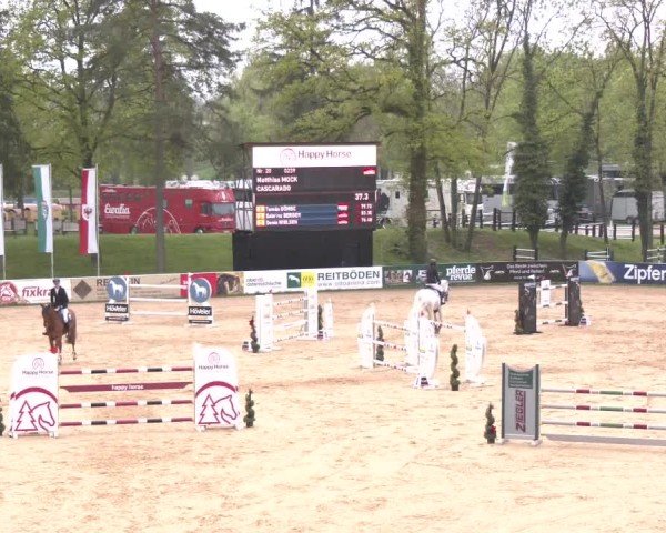 Internationales Springturnier Stadl-Paura 2025