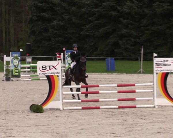 Reitturnier Pietzpuhl 2025