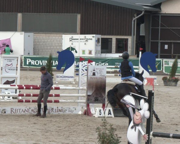 Reitturnier Olfen 2025