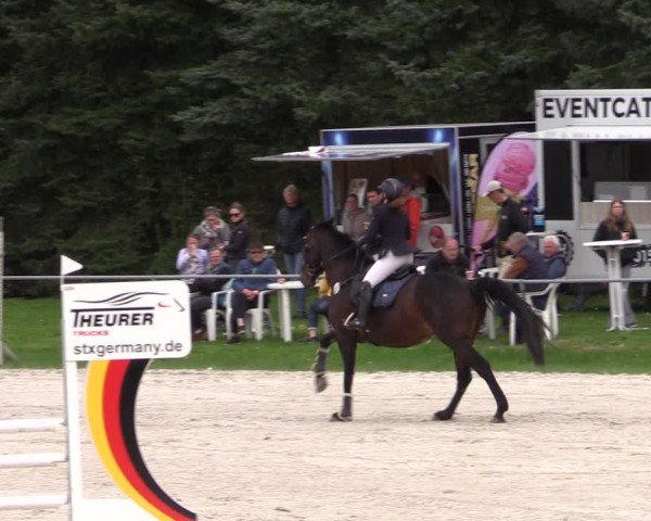 Reitturnier Pietzpuhl 2025