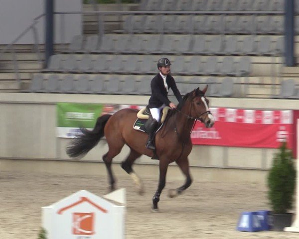 Reitturnier Aachen 2025
