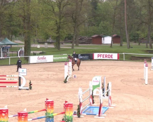 Internationales Springturnier Stadl-Paura 2025