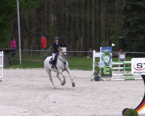 Reitturnier Pietzpuhl 2025