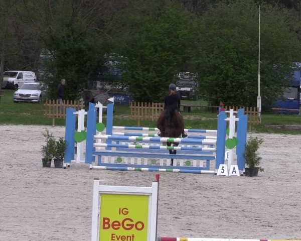 Reitturnier Pietzpuhl 2025
