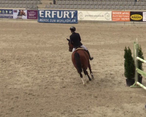 Reitturnier Aachen 2025