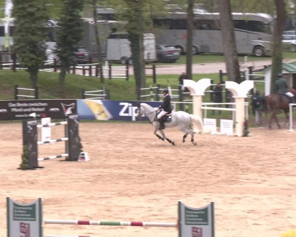 Internationales Springturnier Stadl-Paura 2025