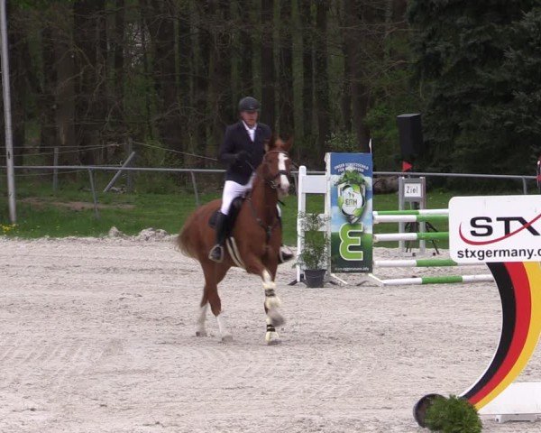 Reitturnier Pietzpuhl 2025