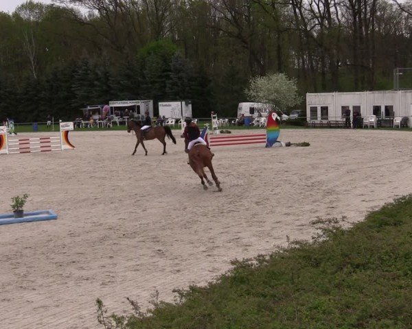 Reitturnier Pietzpuhl 2025