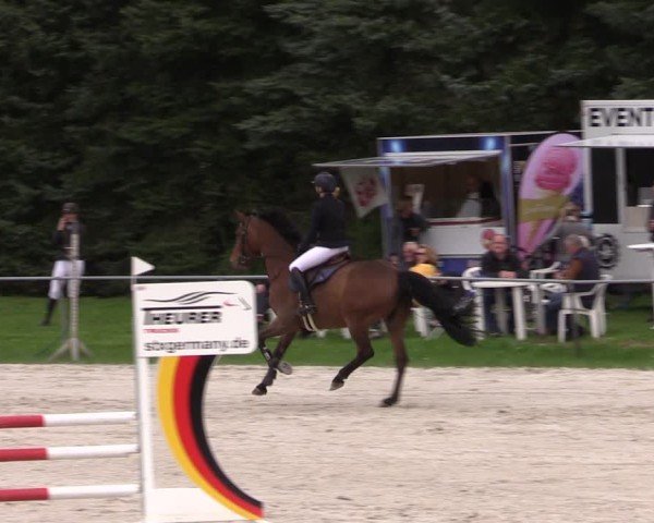 Reitturnier Pietzpuhl 2025