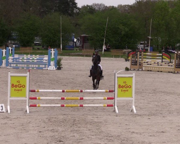 Reitturnier Pietzpuhl 2025