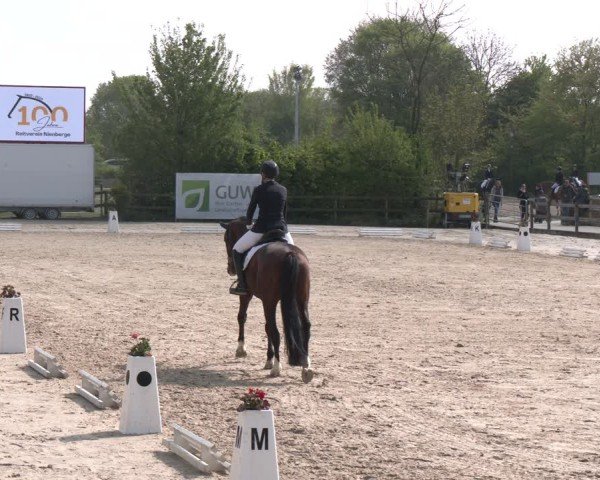 Reitturnier Nienberge 2025