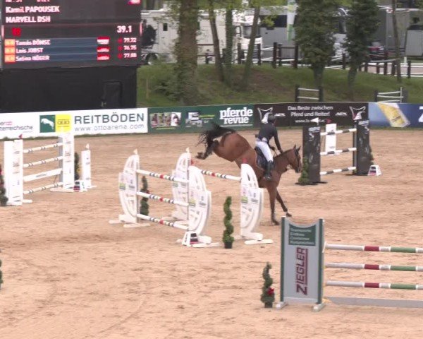 Internationales Springturnier Stadl-Paura 2025