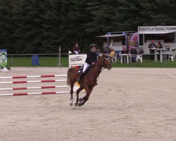 Reitturnier Pietzpuhl 2025
