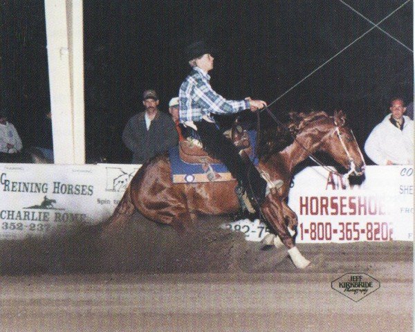 horse Absolute Duke (Quarter Horse, 1994, from Peppy Badger Chex)