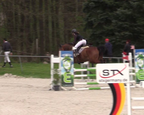 Reitturnier Pietzpuhl 2025