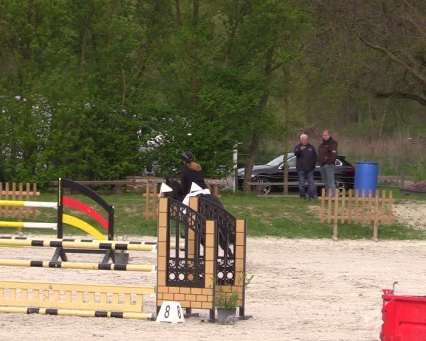 Reitturnier Pietzpuhl 2025