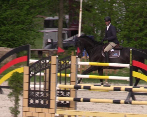 Reitturnier Pietzpuhl 2025