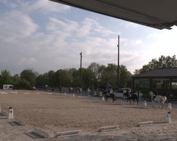 Reitturnier Nienberge 2025