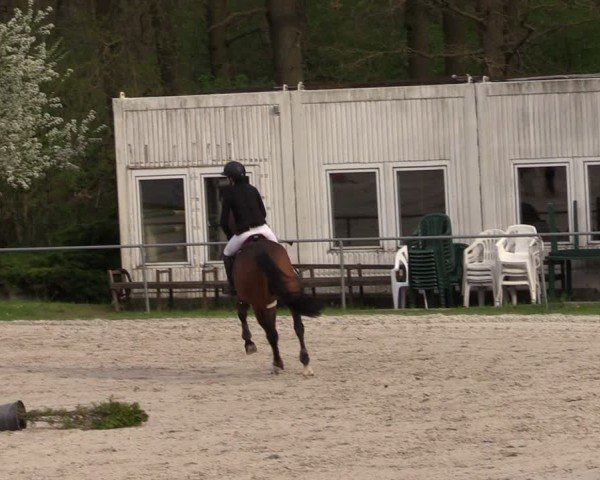 Reitturnier Pietzpuhl 2025