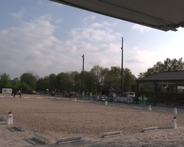 Reitturnier Nienberge 2025
