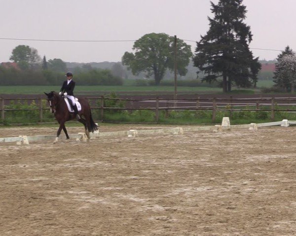 Reitturnier Warendorf, Reitstall am Rothenbach 2025