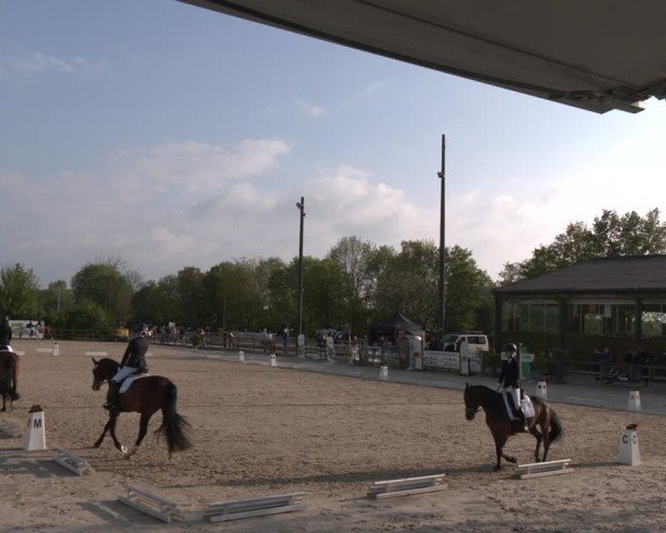 Reitturnier Nienberge 2025