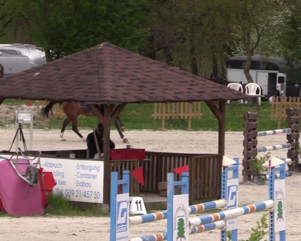 Reitturnier Pietzpuhl 2025