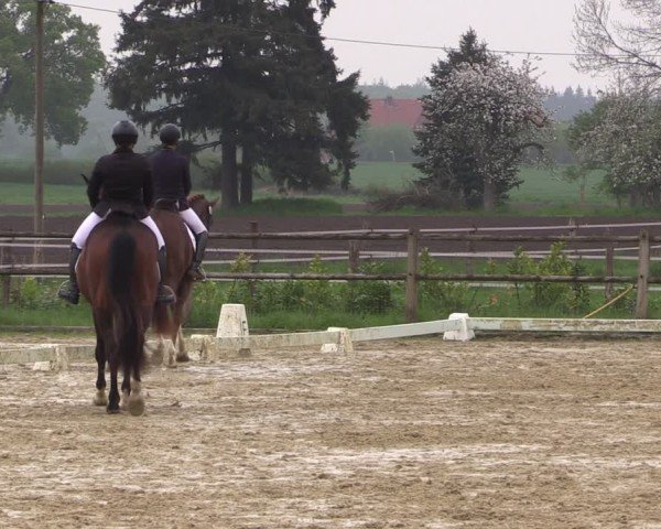 Reitturnier Warendorf, Reitstall am Rothenbach 2025